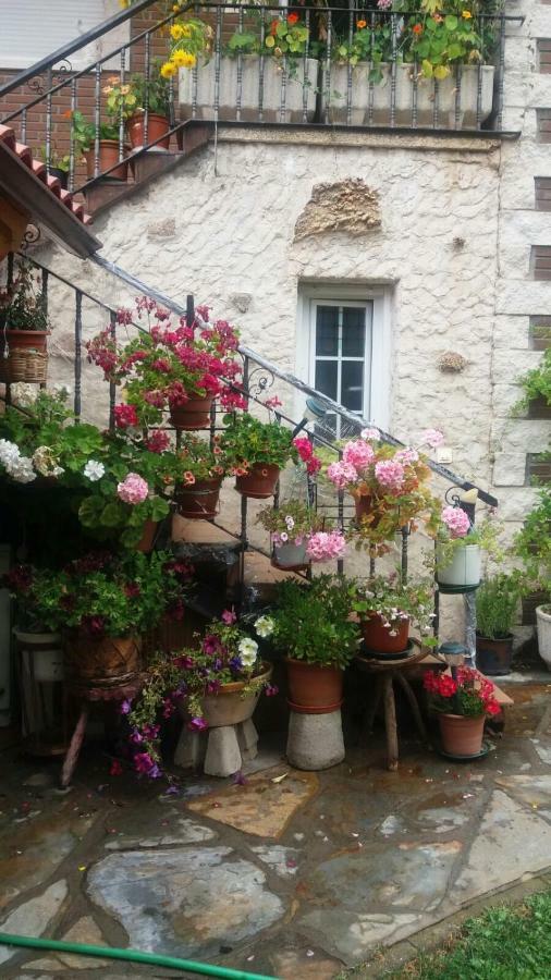 Casa Hostal Olga - Castilla Y Leon Кофиньяль Экстерьер фото